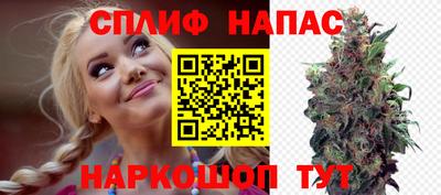 стаф Будённовск