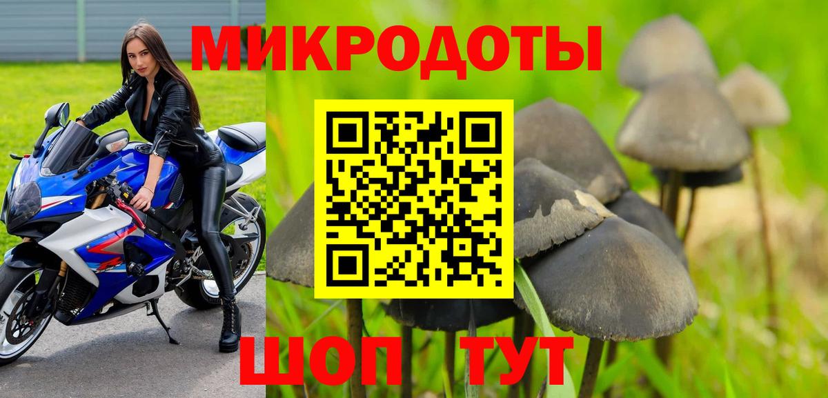 Кулебаки  Галлюциногенные грибы Cubensis  Галлюциногенные грибы прущие грибы  Вход с VPN 