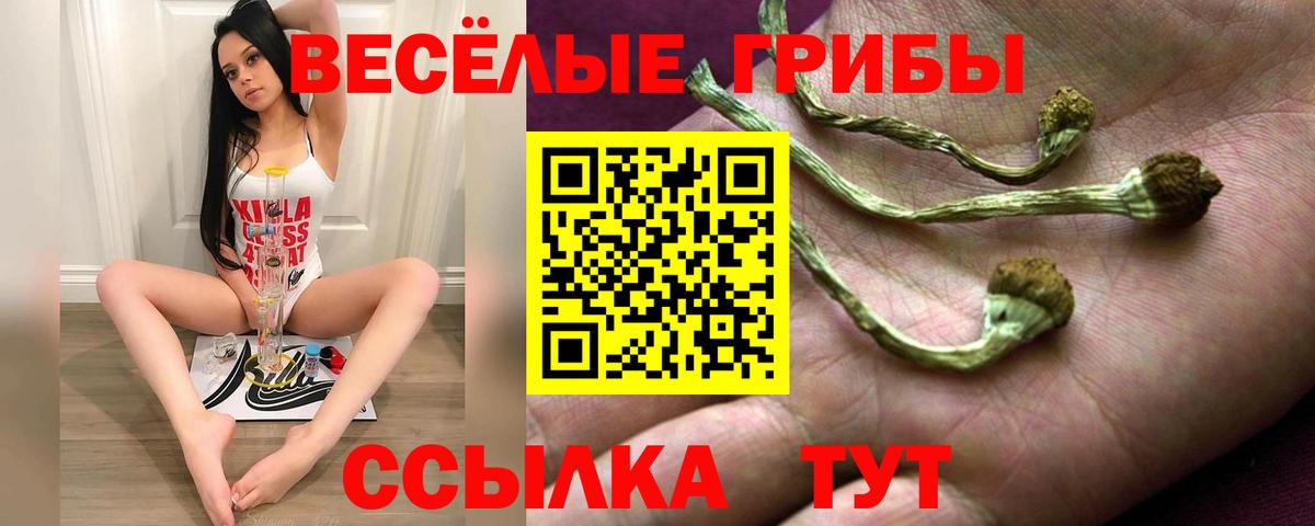 Галлюциногенные грибы Magic Shrooms Кулебаки